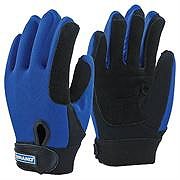Minimal Risk Gloves