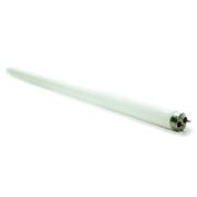 Fluorescent Tubes