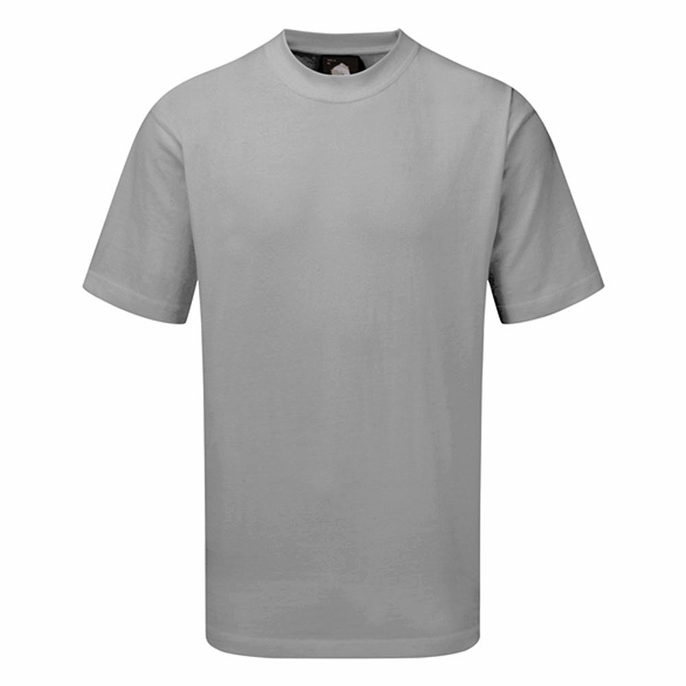 Orn Plover Premium T Shirt - 180gsm - Ash