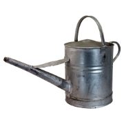 Galvanised Metal Watering Can - 2 Gallon
