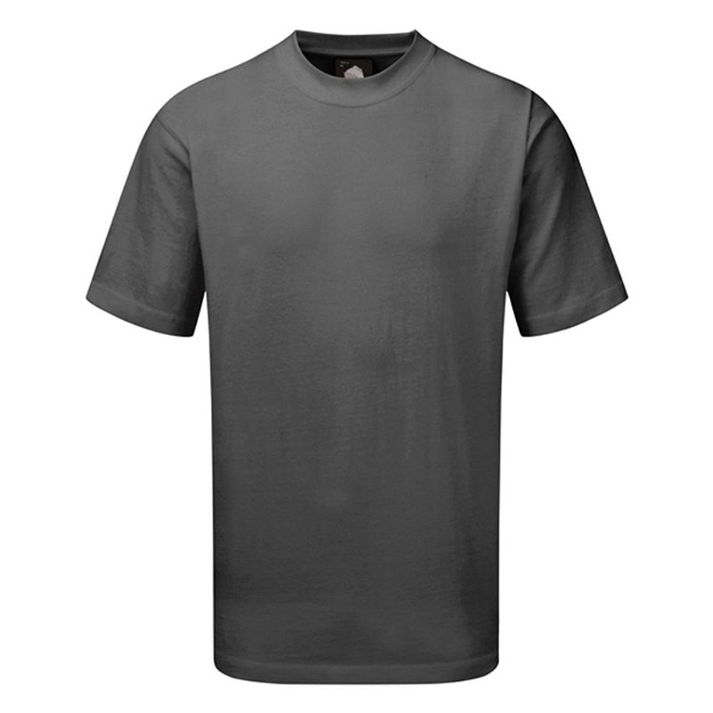 Orn Plover Premium T Shirt - 180gsm - Graphite