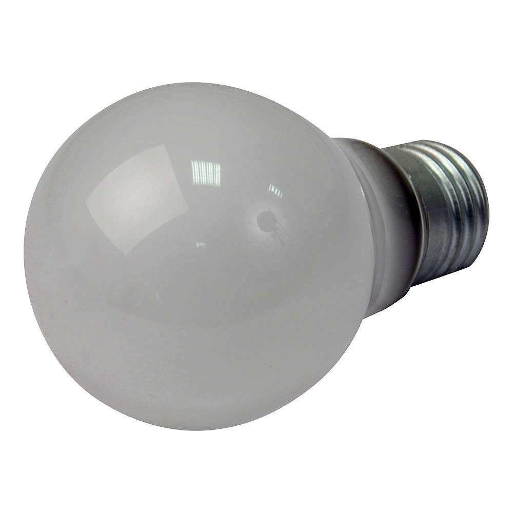 240 Volt Edison Screw Bulb - 60 Watt